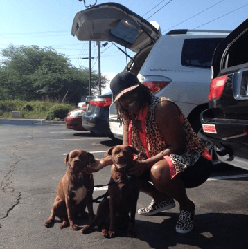 Domestic Abuse Survivor with two cute pittbull dogs