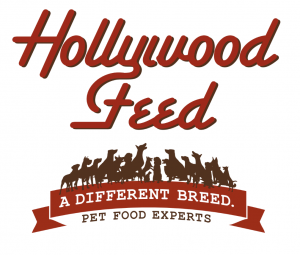 Hollywood Feed
