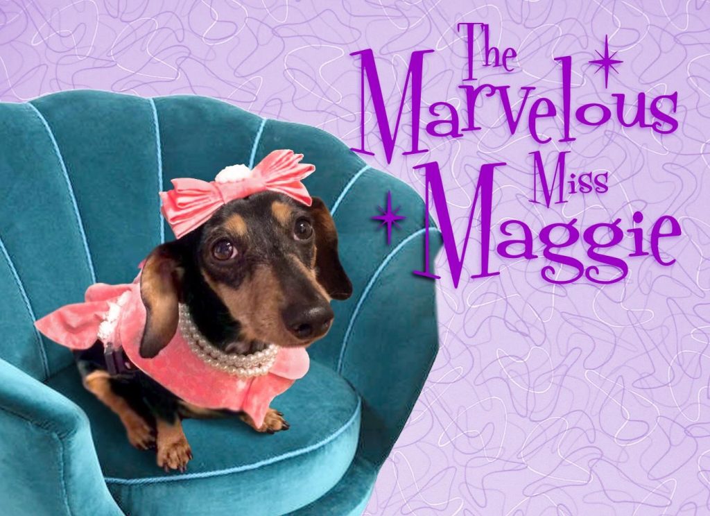 The Lucky Dog Maggie the black and tan wheelie dachshund