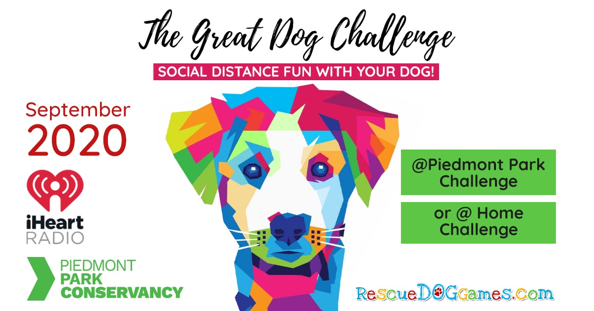 The great dog challenge 2020