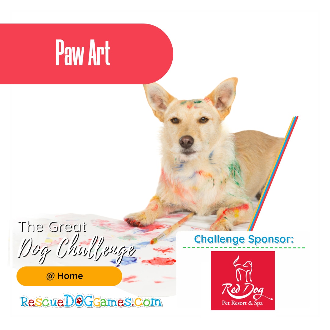 adorable dog paiting Great Dog Challenge Atlanta