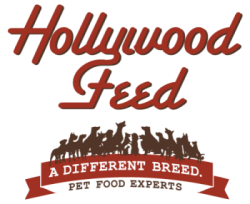 hollywood feed no background