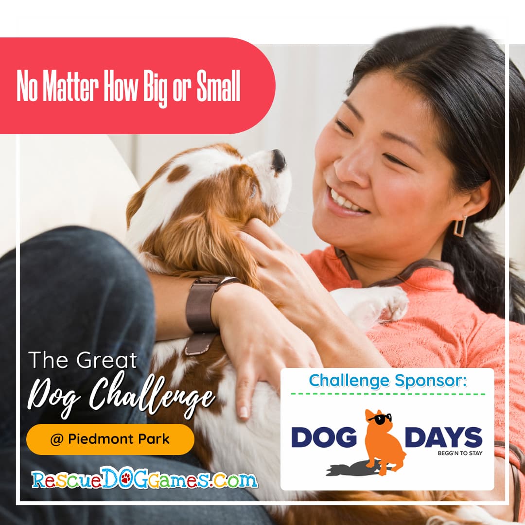 woman adoring her spaniel dog smiling Great Dog Challenge Atlanta