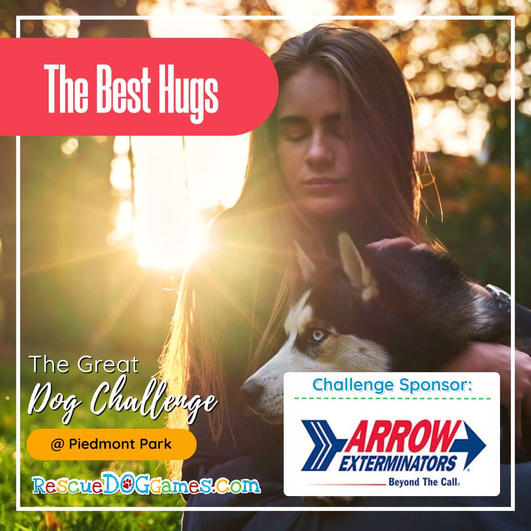 woman hugging adorable husky on sunset Great Dog Challenge Atlanta