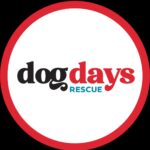 Dog Days Rescue