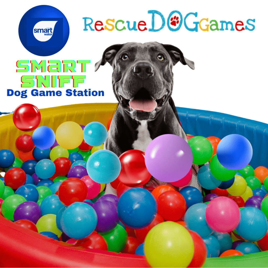 Smart Sniff Game Station